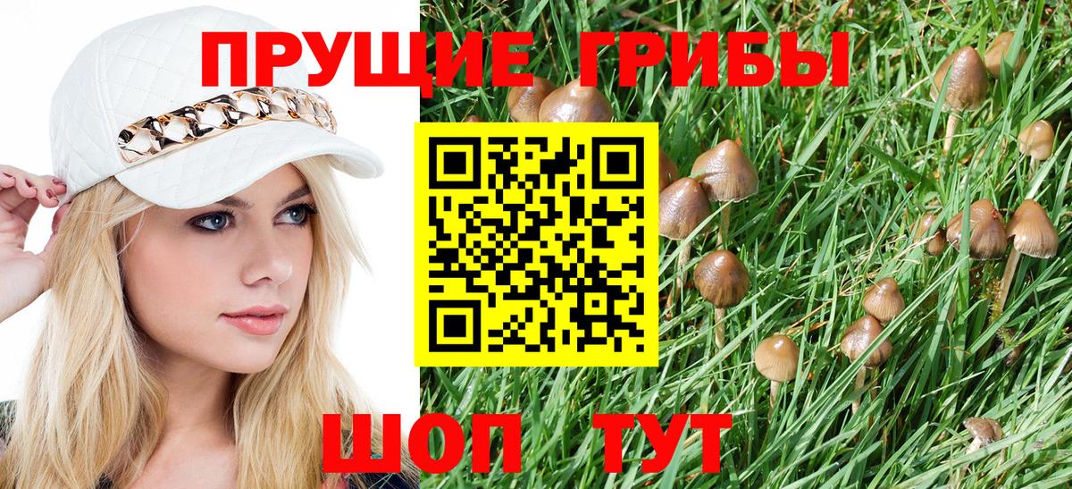 Галлюциногенные грибы прущие грибы  Галлюциногенные грибы Psilocybe  Дедовск  Вход с VPN 