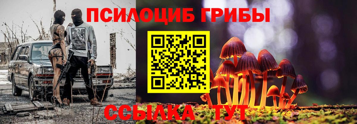 Галлюциногенные грибы Psilocybine cubensis Дедовск